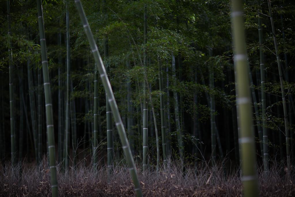 Kyoto Fushimi Ohana Muko Bagian luar foto