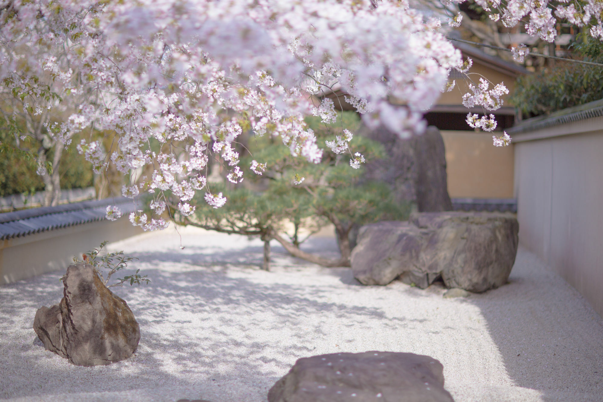 Kyoto Fushimi Ohana Muko Bagian luar foto